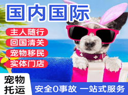 赤峰机场快递国际宠物托运 【国